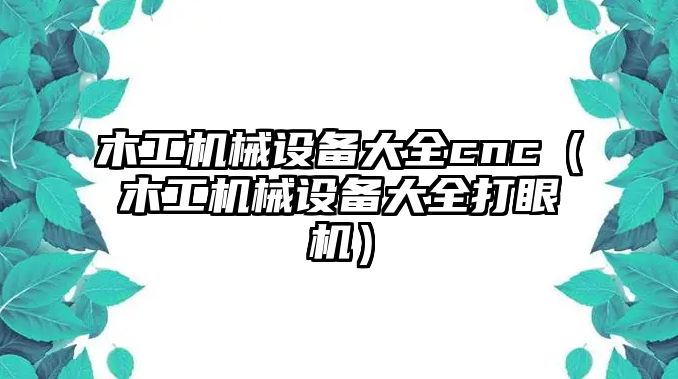 木工機械設備大全cnc（木工機械設備大全打眼機）