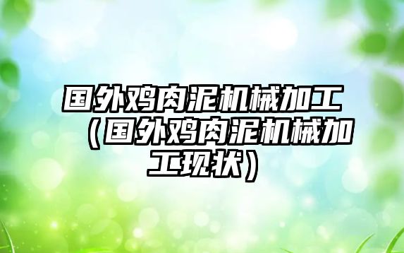 國外雞肉泥機械加工（國外雞肉泥機械加工現狀）