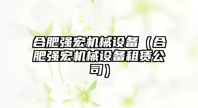 合肥強宏機械設備（合肥強宏機械設備租賃公司）