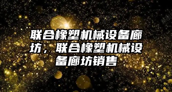 聯(lián)合橡塑機(jī)械設(shè)備廊坊，聯(lián)合橡塑機(jī)械設(shè)備廊坊銷售