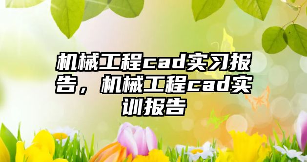 機械工程cad實習報告，機械工程cad實訓報告