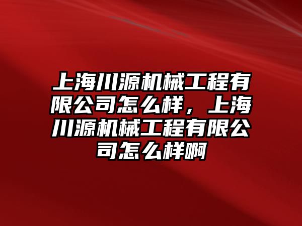 上海川源機(jī)械工程有限公司怎么樣，上海川源機(jī)械工程有限公司怎么樣啊