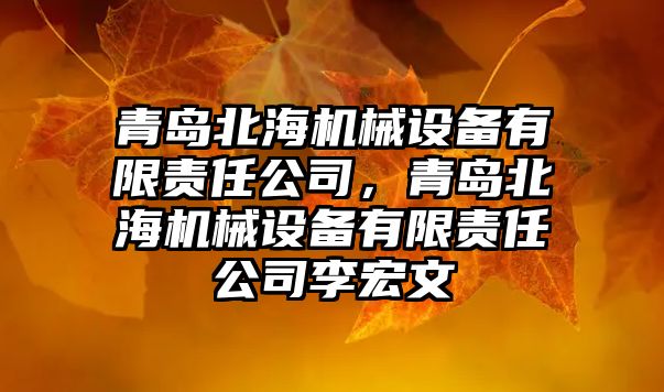 青島北海機械設備有限責任公司，青島北海機械設備有限責任公司李宏文