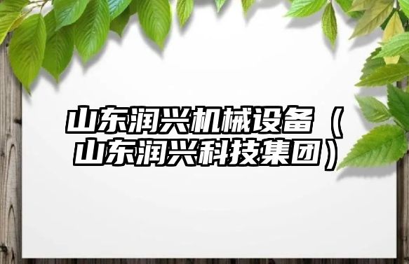 山東潤興機械設備（山東潤興科技集團）