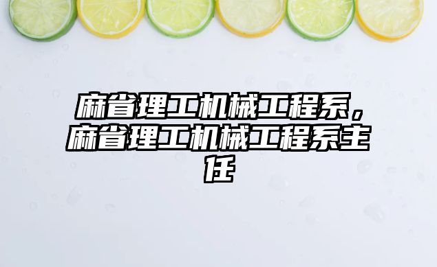 麻省理工機械工程系，麻省理工機械工程系主任