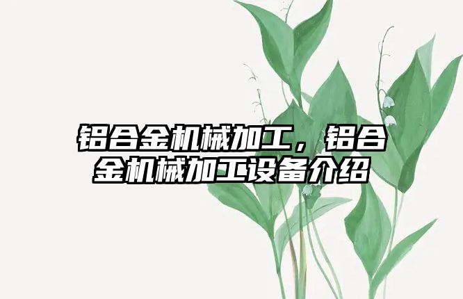 鋁合金機械加工，鋁合金機械加工設備介紹