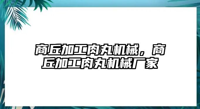 商丘加工肉丸機械，商丘加工肉丸機械廠家