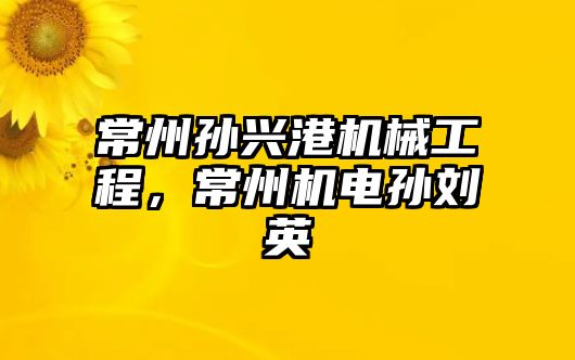 常州孫興港機械工程，常州機電孫劉英