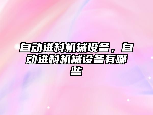 自動進料機械設備，自動進料機械設備有哪些