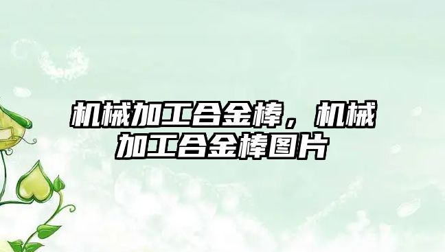 機械加工合金棒，機械加工合金棒圖片