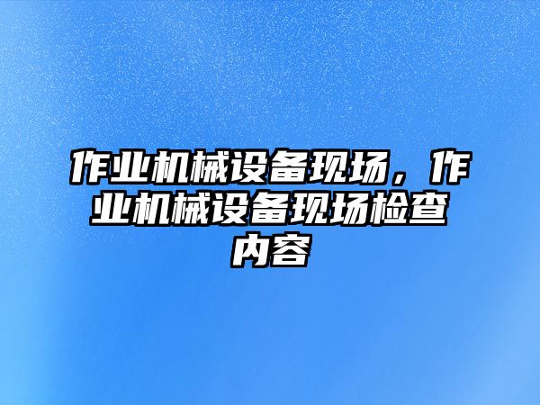 作業(yè)機械設(shè)備現(xiàn)場，作業(yè)機械設(shè)備現(xiàn)場檢查內(nèi)容