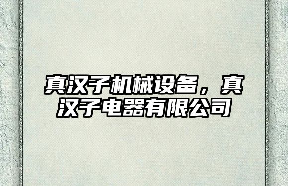 真漢子機械設(shè)備，真漢子電器有限公司