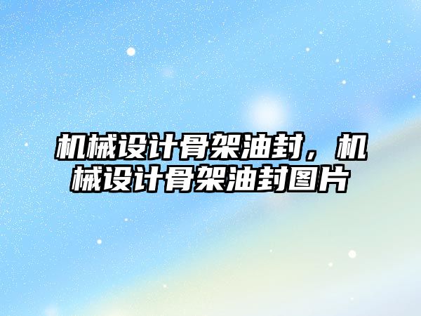 機械設計骨架油封，機械設計骨架油封圖片